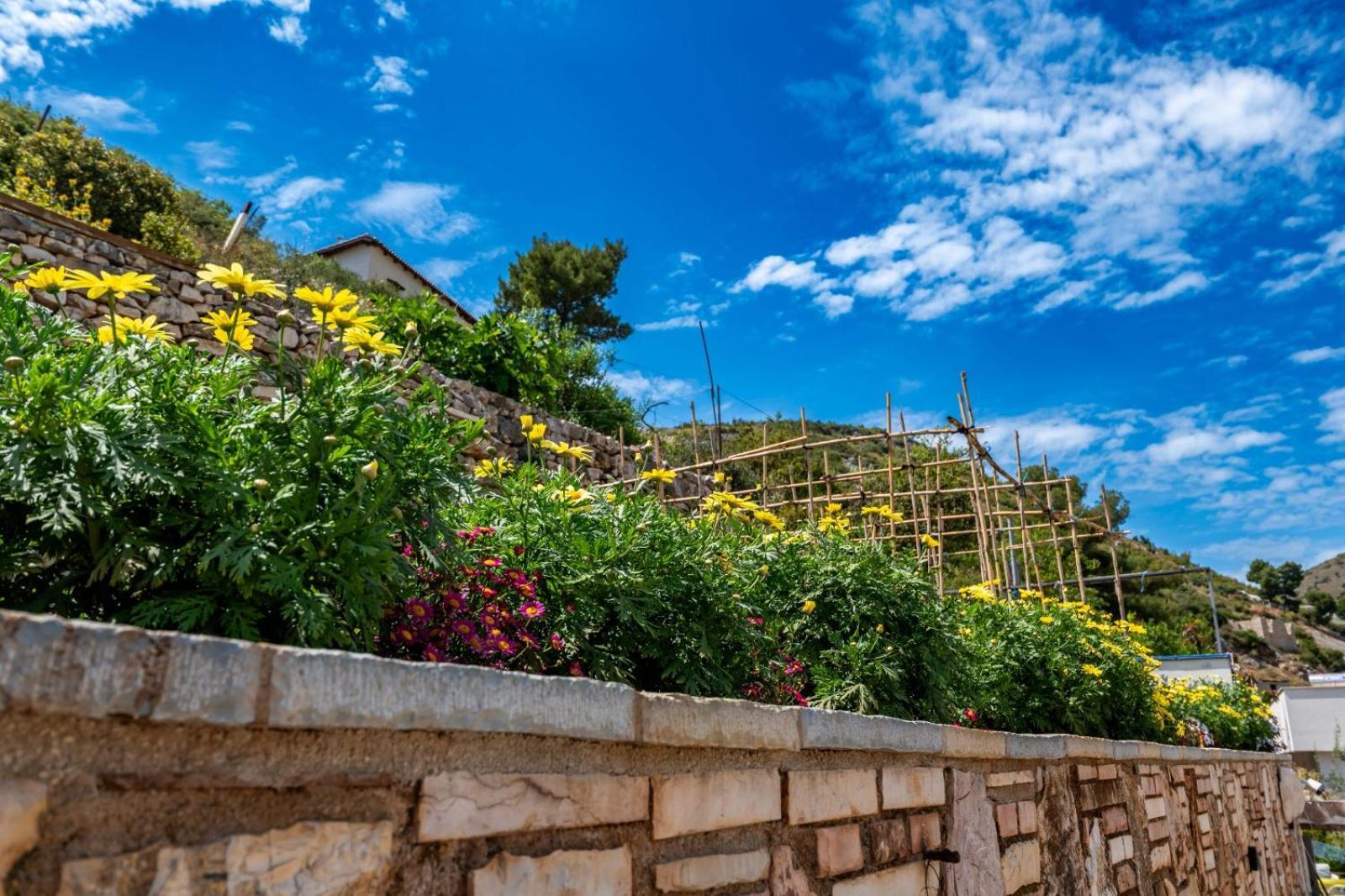 Apartment Basho Sarandë